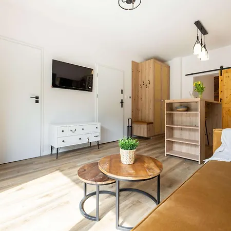 Apartamenty Nad Wisla - Z Sauna I Blisko Centrum - Dream Apart Ustron Exterior photo